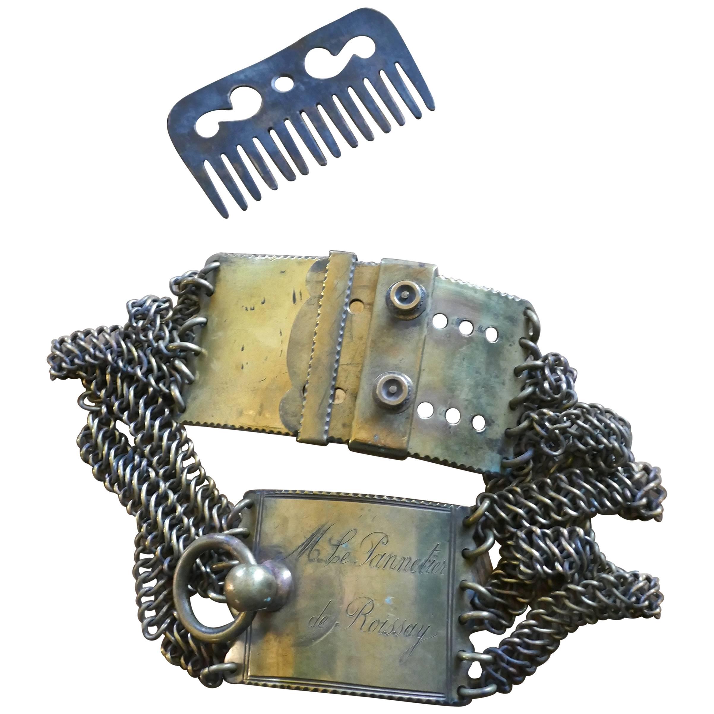 Hunting Dog Collar and Comb 19th Century French Bronze   For Sale