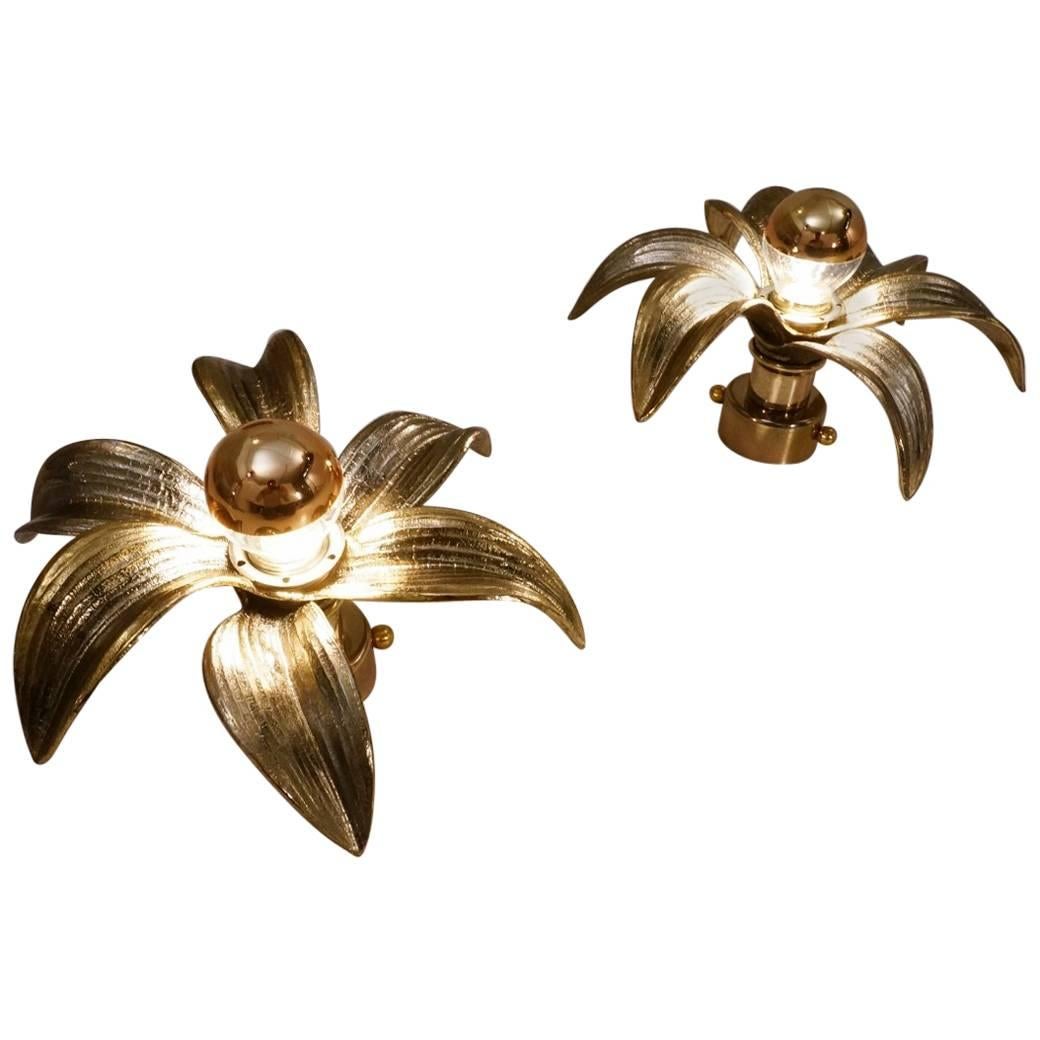 Brass Flower Wall Lights, a Pair by Massive, 1970s, Belgian, Willy Daro Style