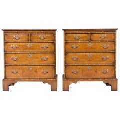 Pair of 19th Century English Burr Wood Small Chests or End Tables