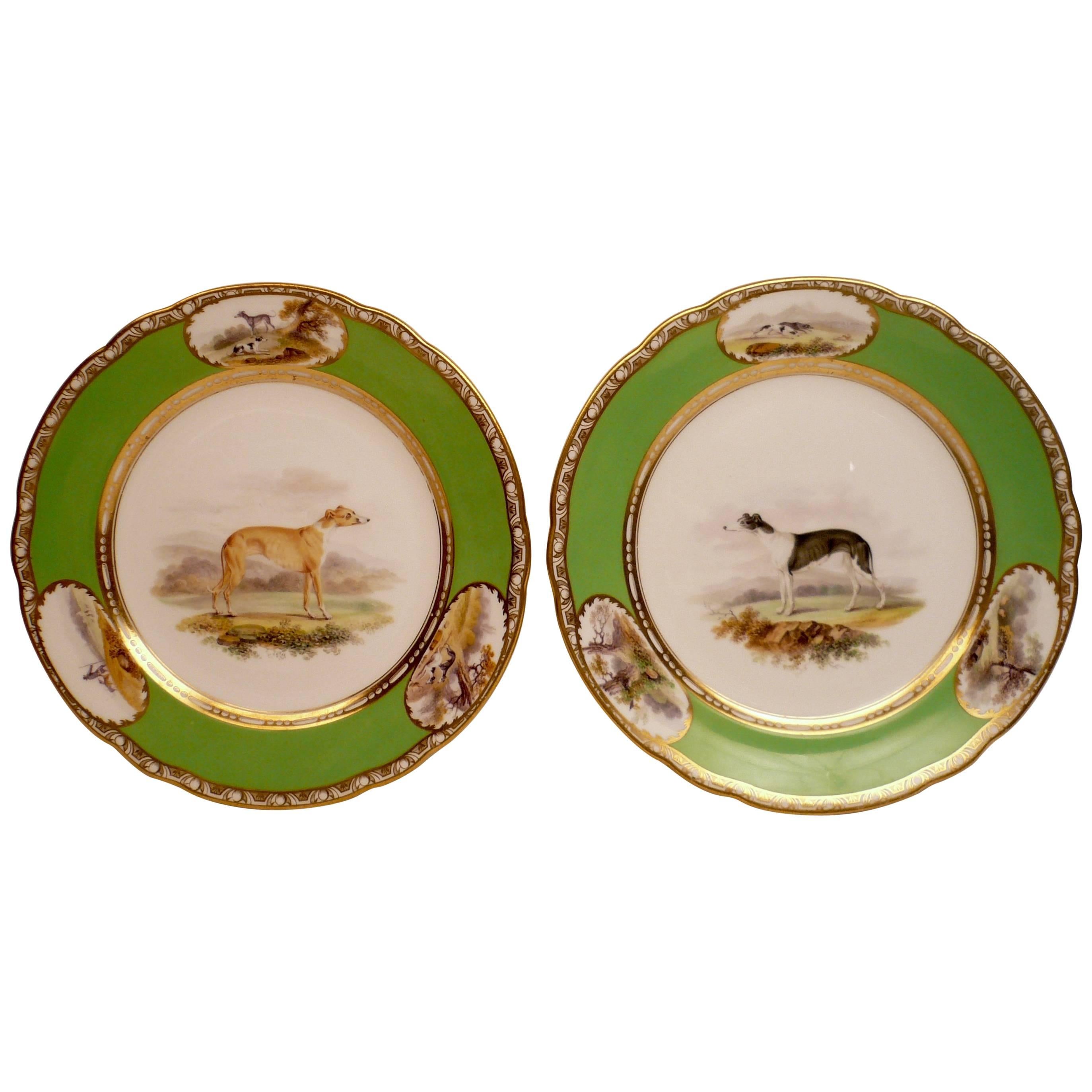 Pair of Antique English Porcelain Sporting Plates