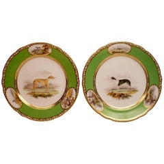 Pair of Antique English Porcelain Sporting Plates