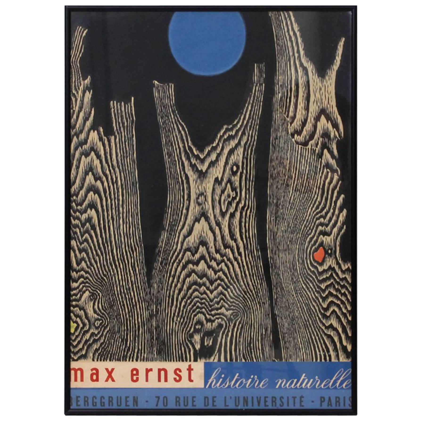 Max Ernst Histoire Naturelle Poster