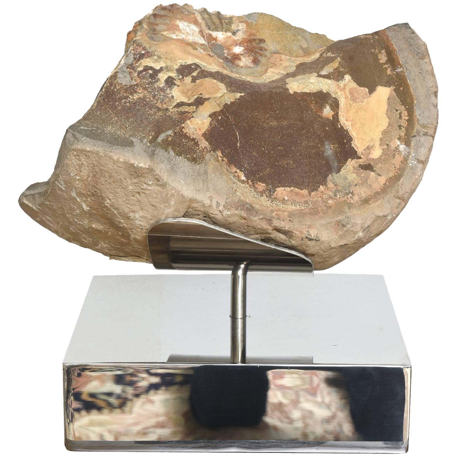 Organic Modern Petrified Wood/ Fossil and Stainless Steel Mounted Sculpture