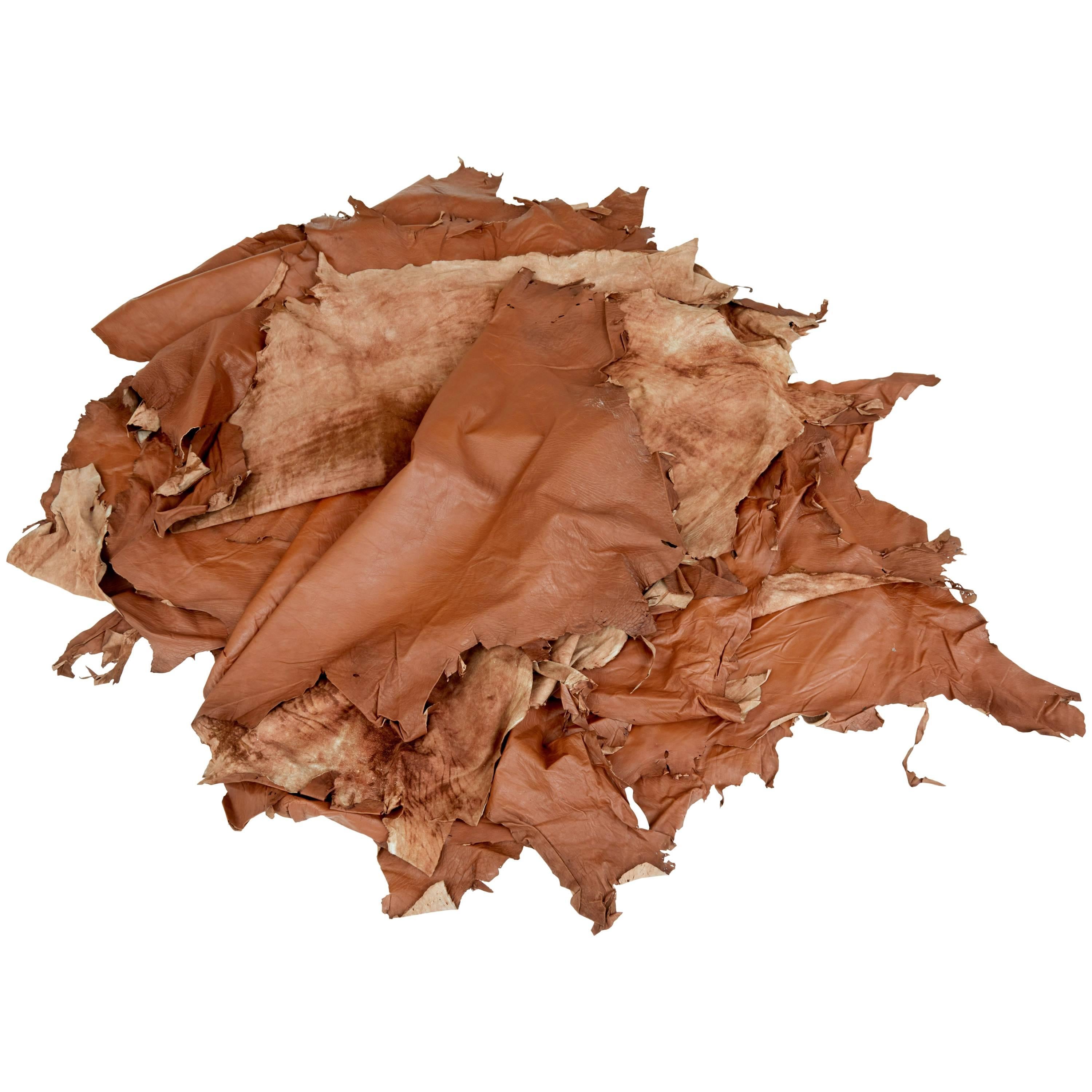 Collection of Ten Tan Cow Leather Hides for Upholstery at 1stDibs