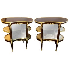 Pair of Louis XV Style Crotch Mahogany Vitrine Form End Tables or Night Tables