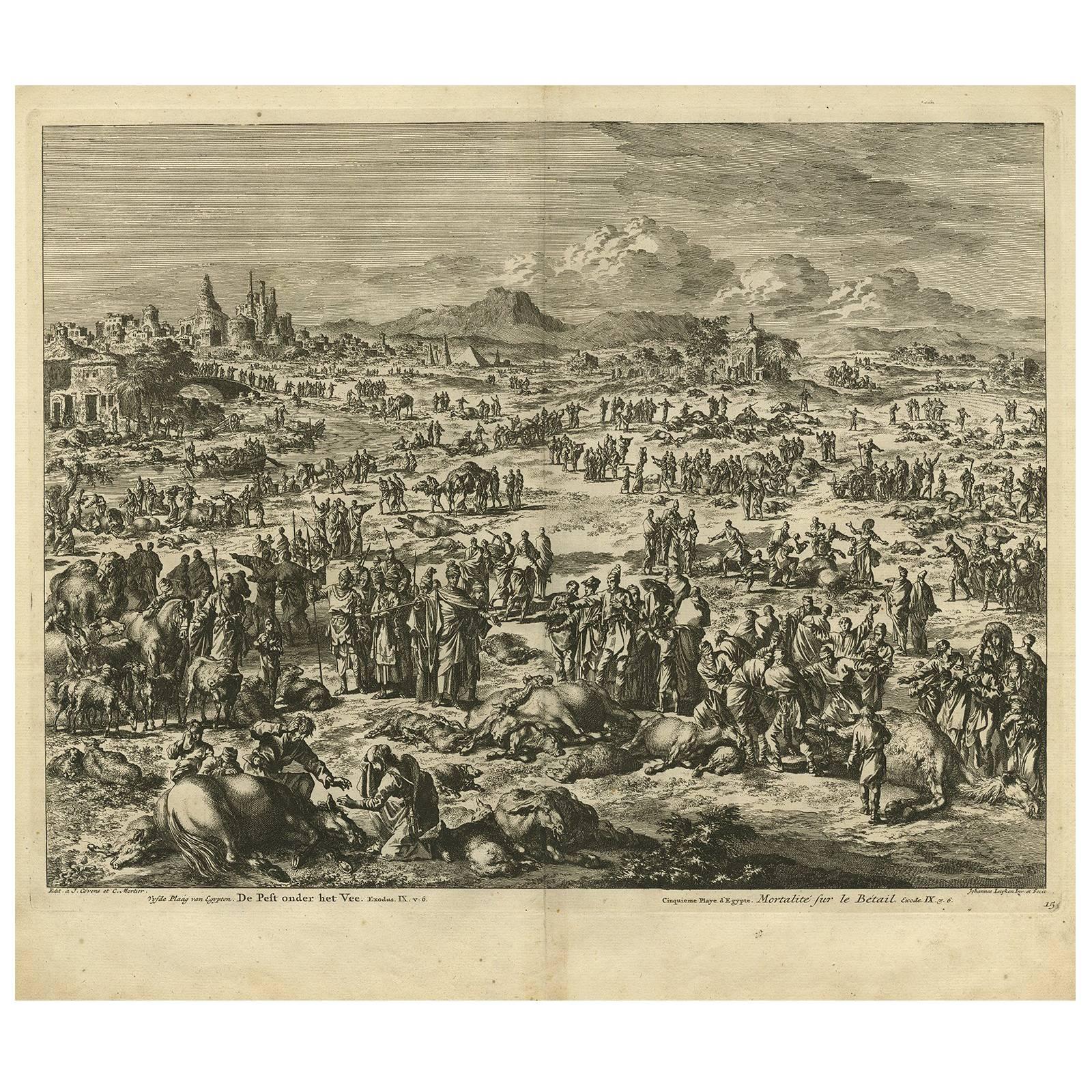 Antique Bible Print Fifth Plague of Egypt by J. Luyken, 1743 For Sale