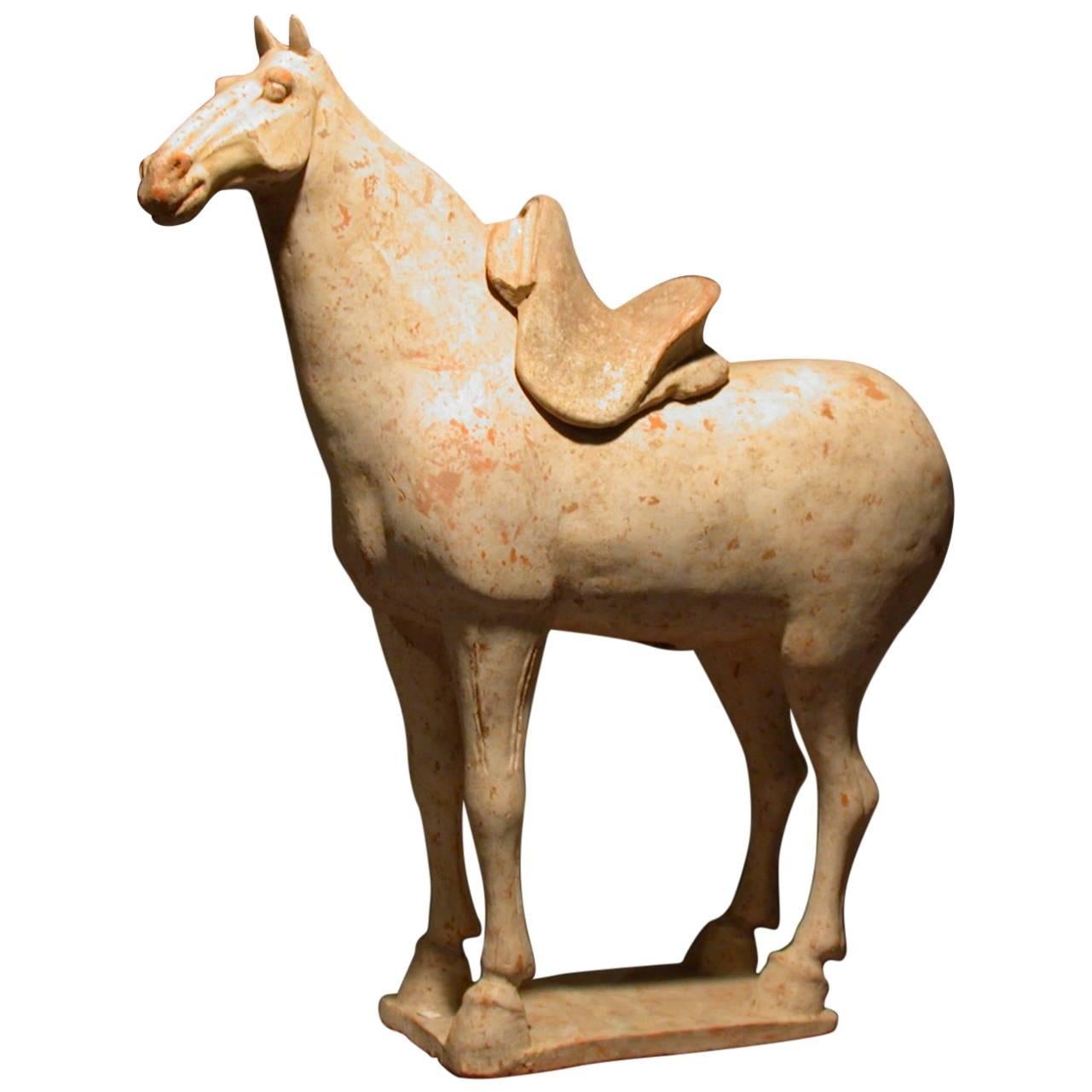 Fine Tang Dynasty Pottery Horse, Oxford TL Tested For Sale