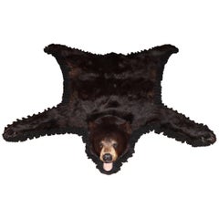 tapis en peau d'ours noir américain ou canadien du 20ème siècle