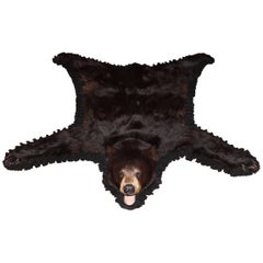 20th Century American or Canadian Black Bear Skin Rug