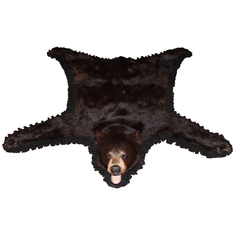 20th Century American or Canadian Black Bear Skin Rug at 1stDibs