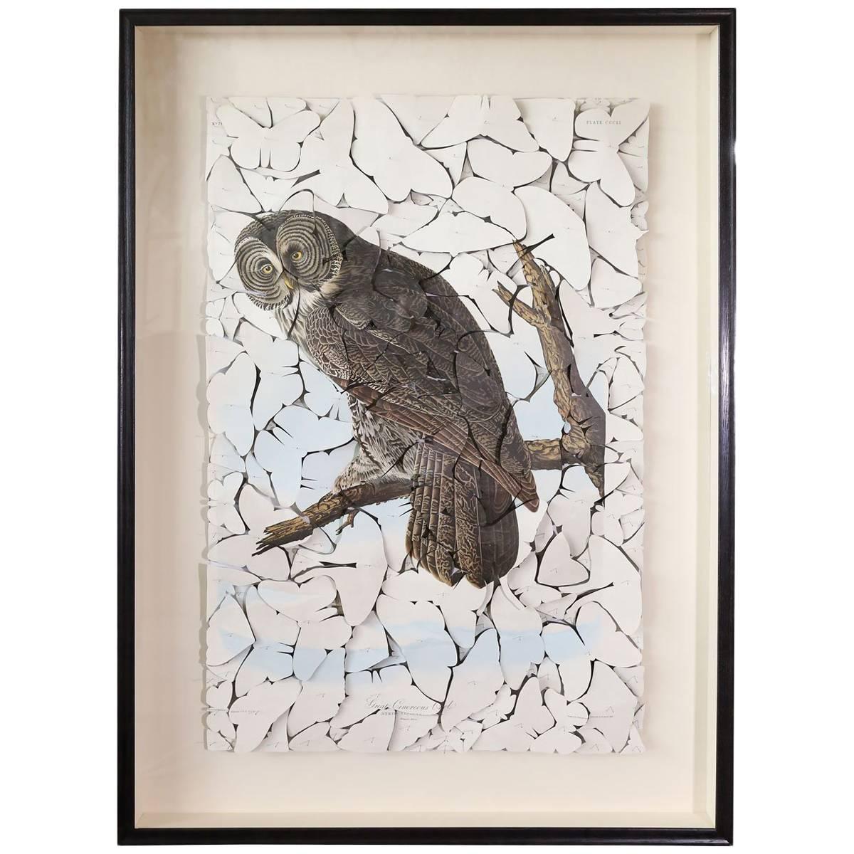 Butterfly Box 'Great Cinereous Owl' Print