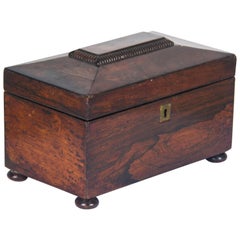 Antique Tea Caddy Rosewood Tea Caddy Regency, Scotland, 1820