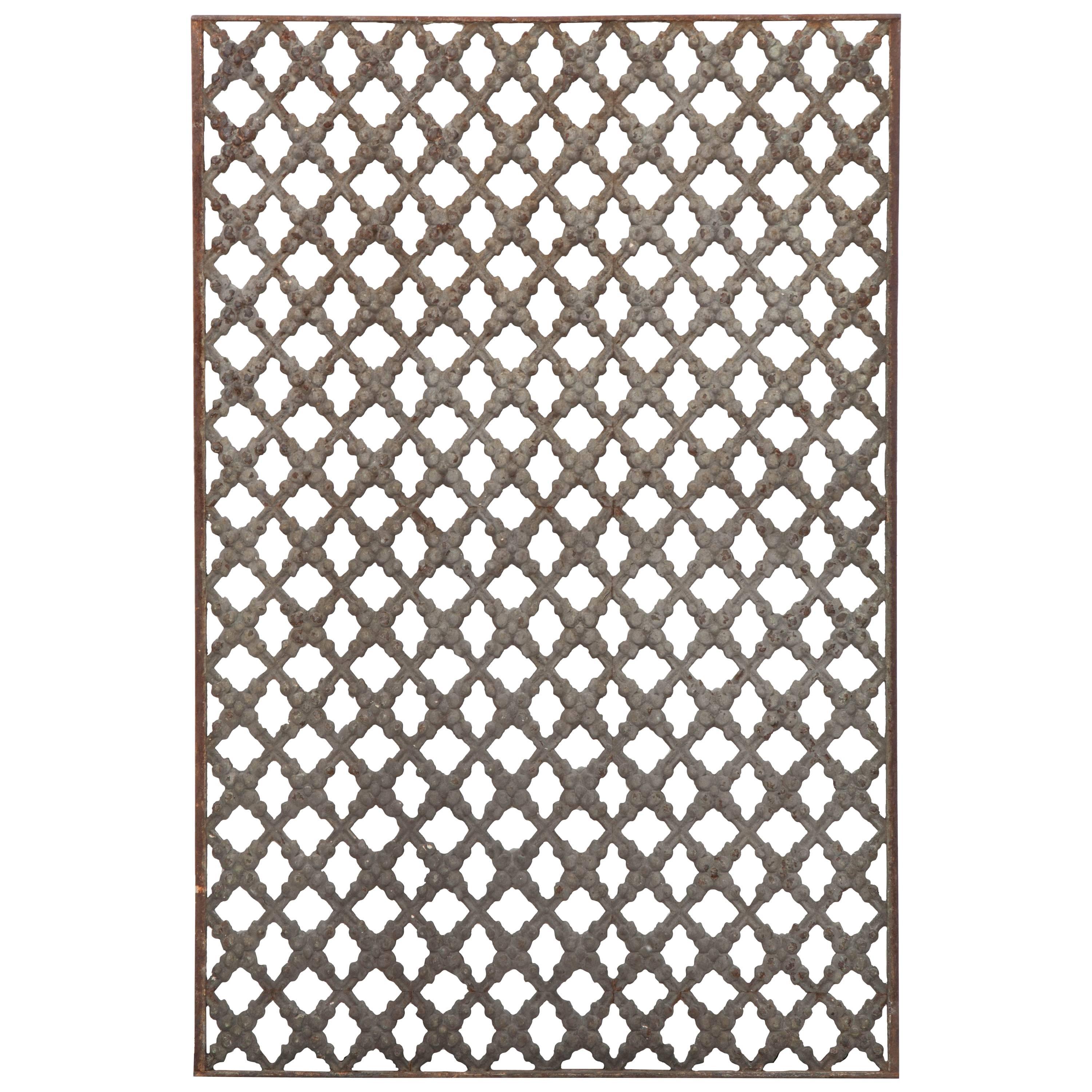 French Early 20th Century Cast Iron Grille