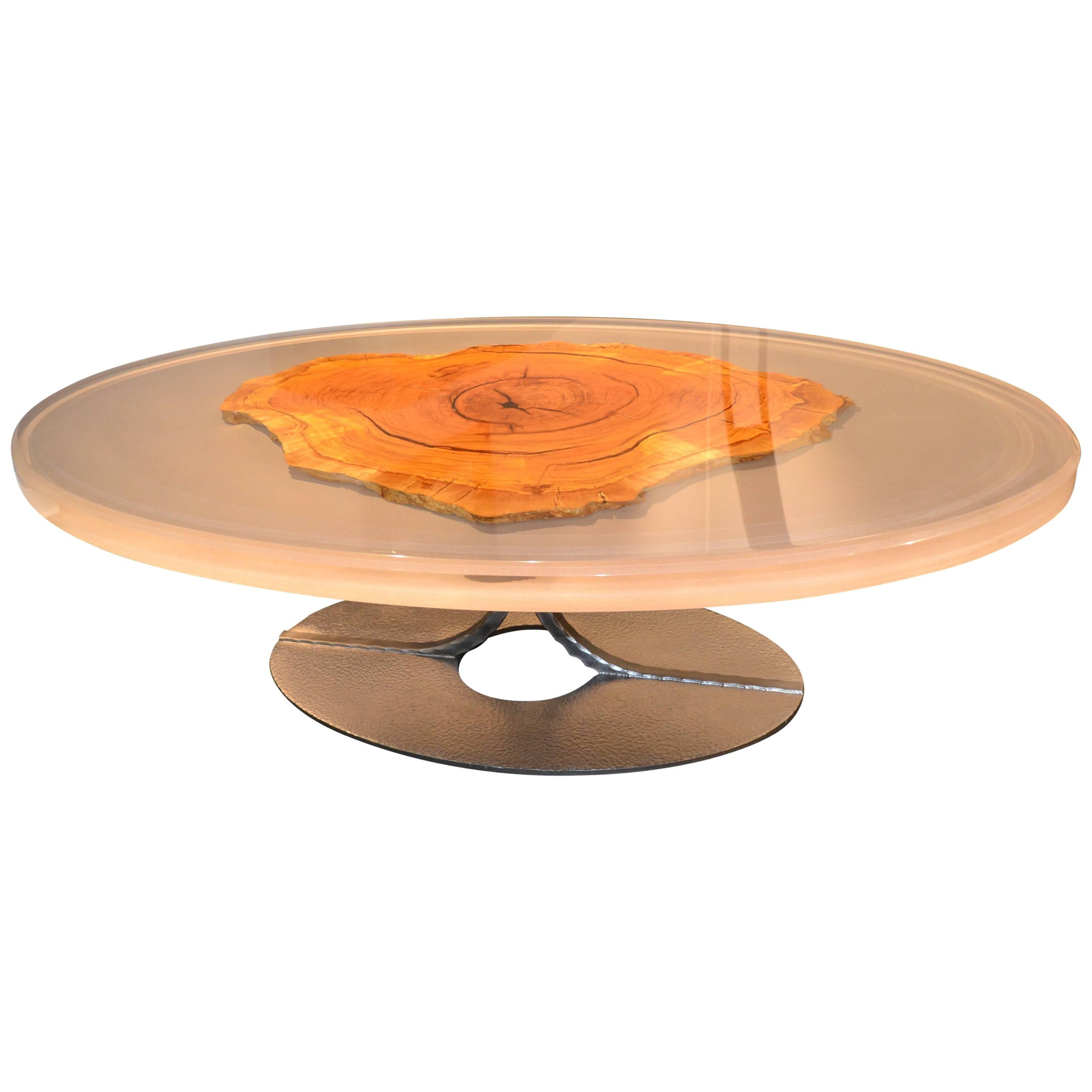 Contemporary Epoxy Resin Oval Coffee Table with a Slice of Olive Tree Trunk For Sale