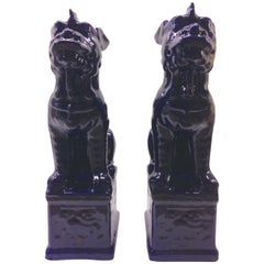Contemporary Chinese Pair of Large Cobalt Ceramic Foo Lion Sculptures
