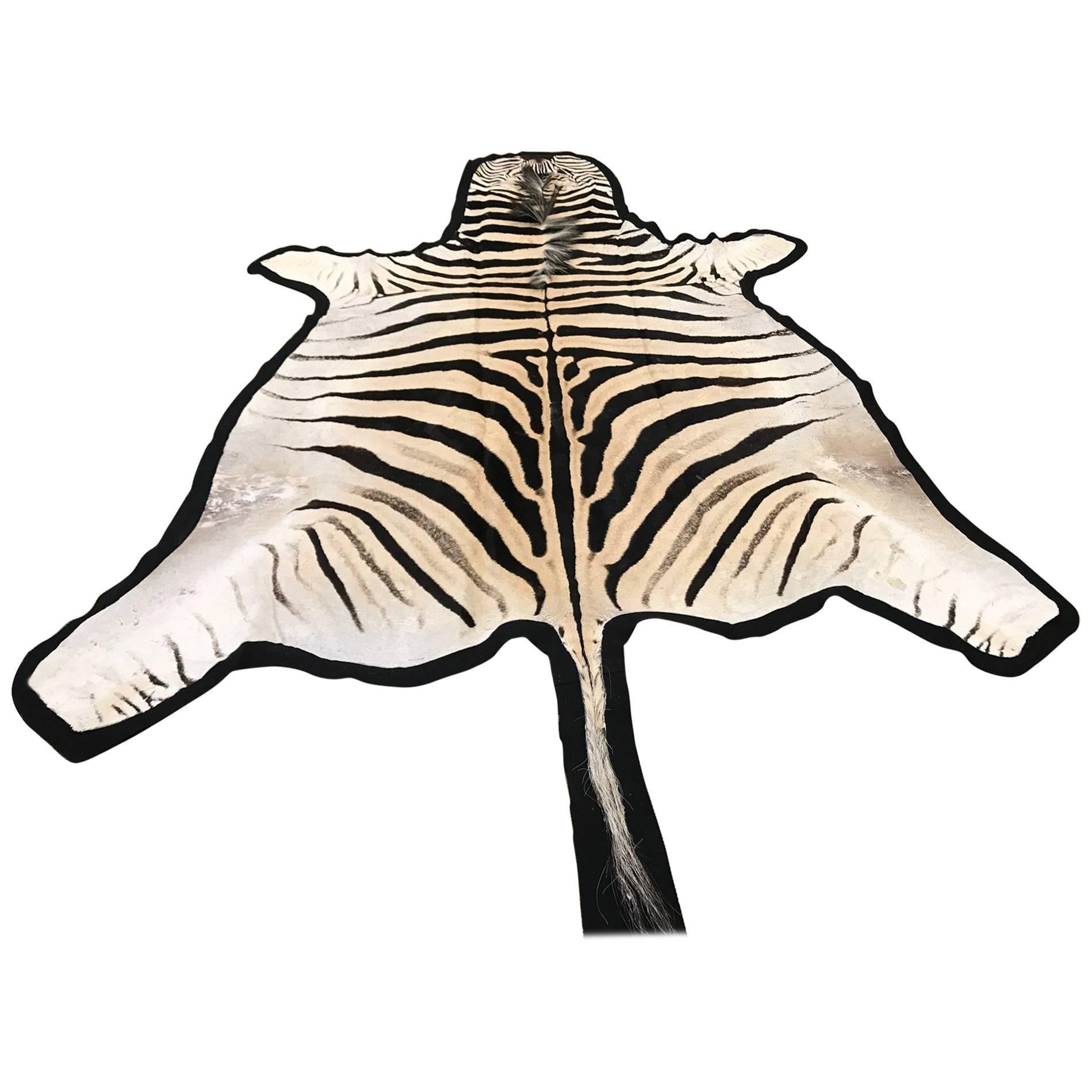 Grade "A" Equus Burchell Zebra Skin Rug For Sale