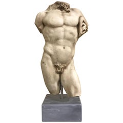 19th Century Torso of Farnese Hercules