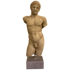 19th Century Torso of Doryphoros in Marble Grand Tour Style