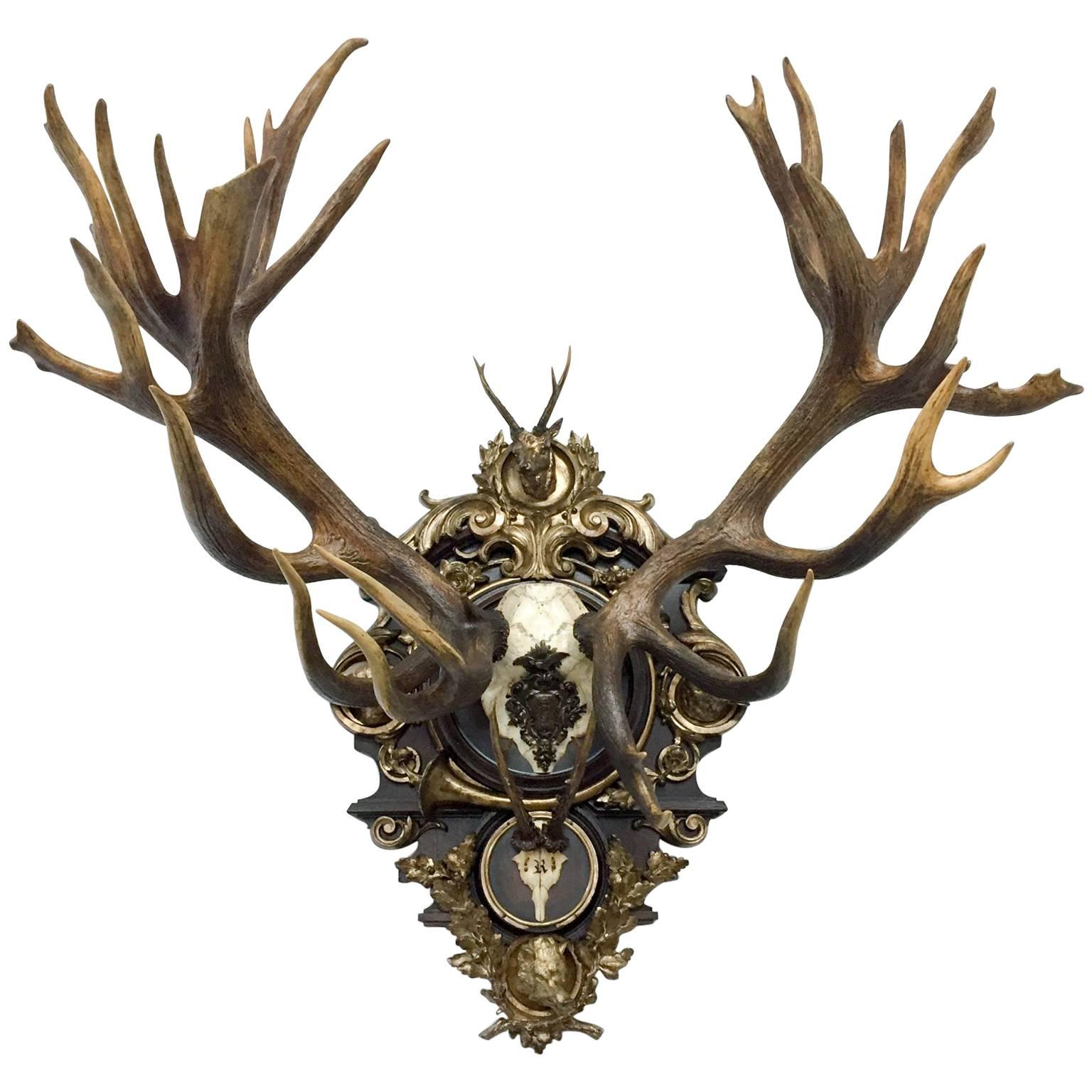 19th Century Austrian Rothschild Red Stag & Roe Deer Trophy from Bad Ischl