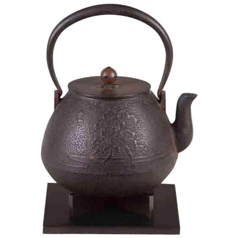 Tetsubin Iron Bronze Brown Kettle Japan Meiji Floral Flower Motif Bas-Relief For Sale