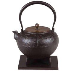 Tetsubin Iron Bronze Brown Water Kettle Japan Meiji Dragonfly Motif