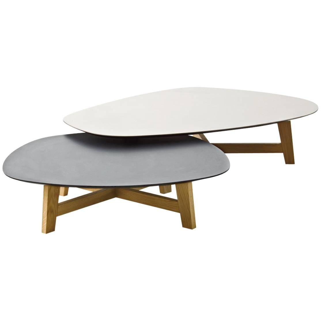 Moroso Phoenix Coffee Table with Wood Base and Various Color Top Options For Sale