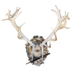 Antique Bleached Habsburg Red Stag Antlers on Rococo Plaque with Kaiser & King Hunt Horn