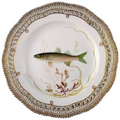 Royal Copenhagen Flora Danica or Fauna Danica Dinner Plate with Fish Motifs