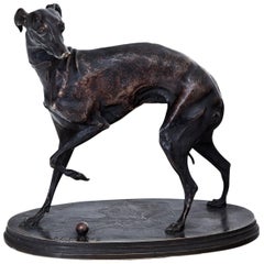 Bronze Greyhound by Pierre-Jules Mène, France, 19th Century