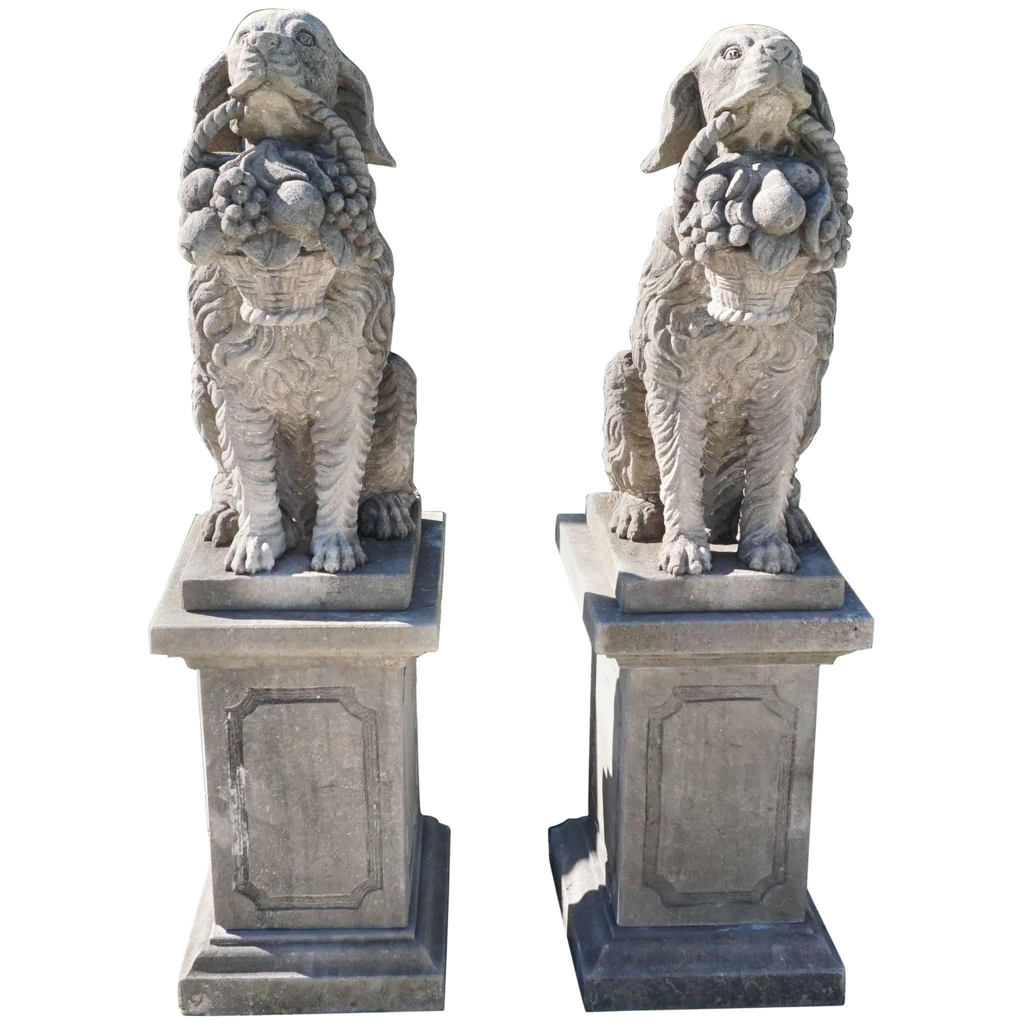 Early 20th Century, a Pair of Tuscan Hunting Dogs in Limestone