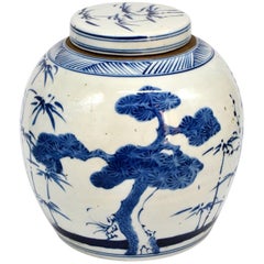 Chinese Blue and White Porcelain Ginger Jar, Hand-Painted