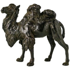Japanese Meiji Period Tokyo School Bronze Camel