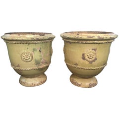 Pair of Large French Yellow-Glazed Terracotta Planters