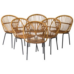 Set of Six Rattan Chairs on Black Lacquered Iron Bases, Netherlands, 1950 Period