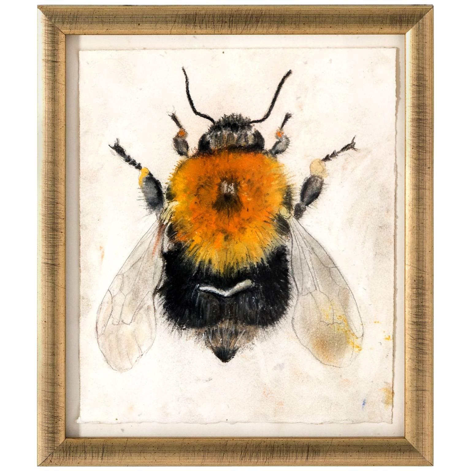 Bee Pastel by Marianne Stikas