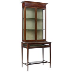 Early 20th Century Mahogany Bijouterie Display Cabinet