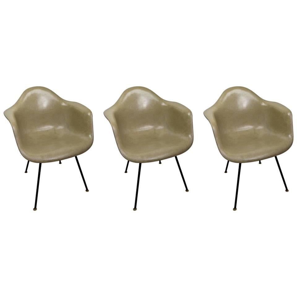 Three Eames Fiberglass Bucket Chairs