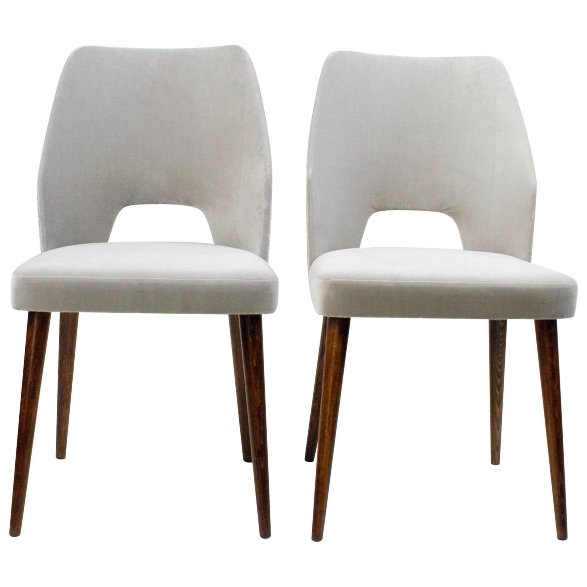 Austrian 50s Walnut and grey Velvet Dining Chairs in the Style of Oswald Haerdtl