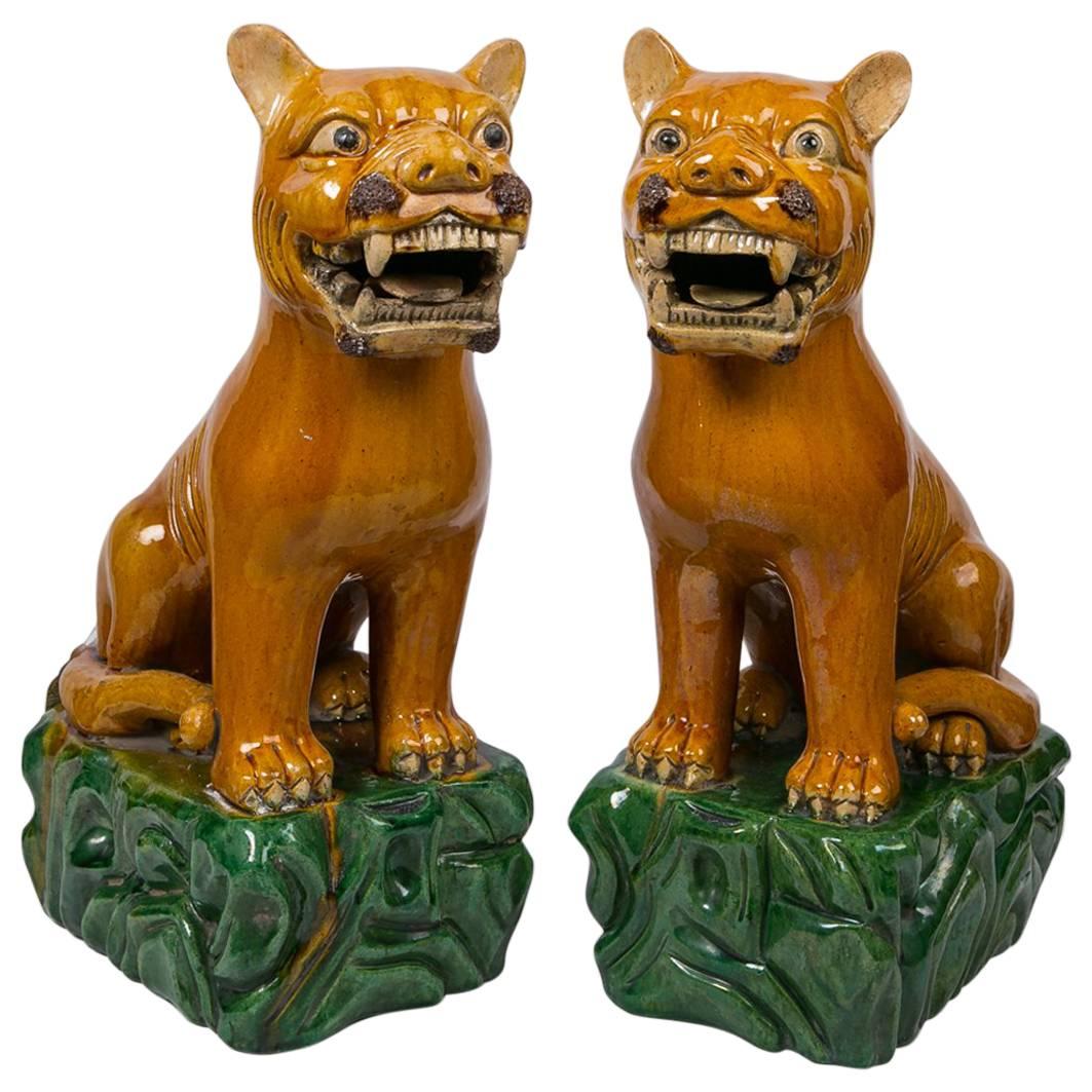 Pair of Chinese Lion Dogs