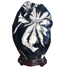 Exquisite Large Chrysanthemum Flower Viewing Stone