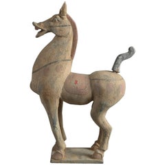 20th Century Tang Dynasty Style Terracotta Horse