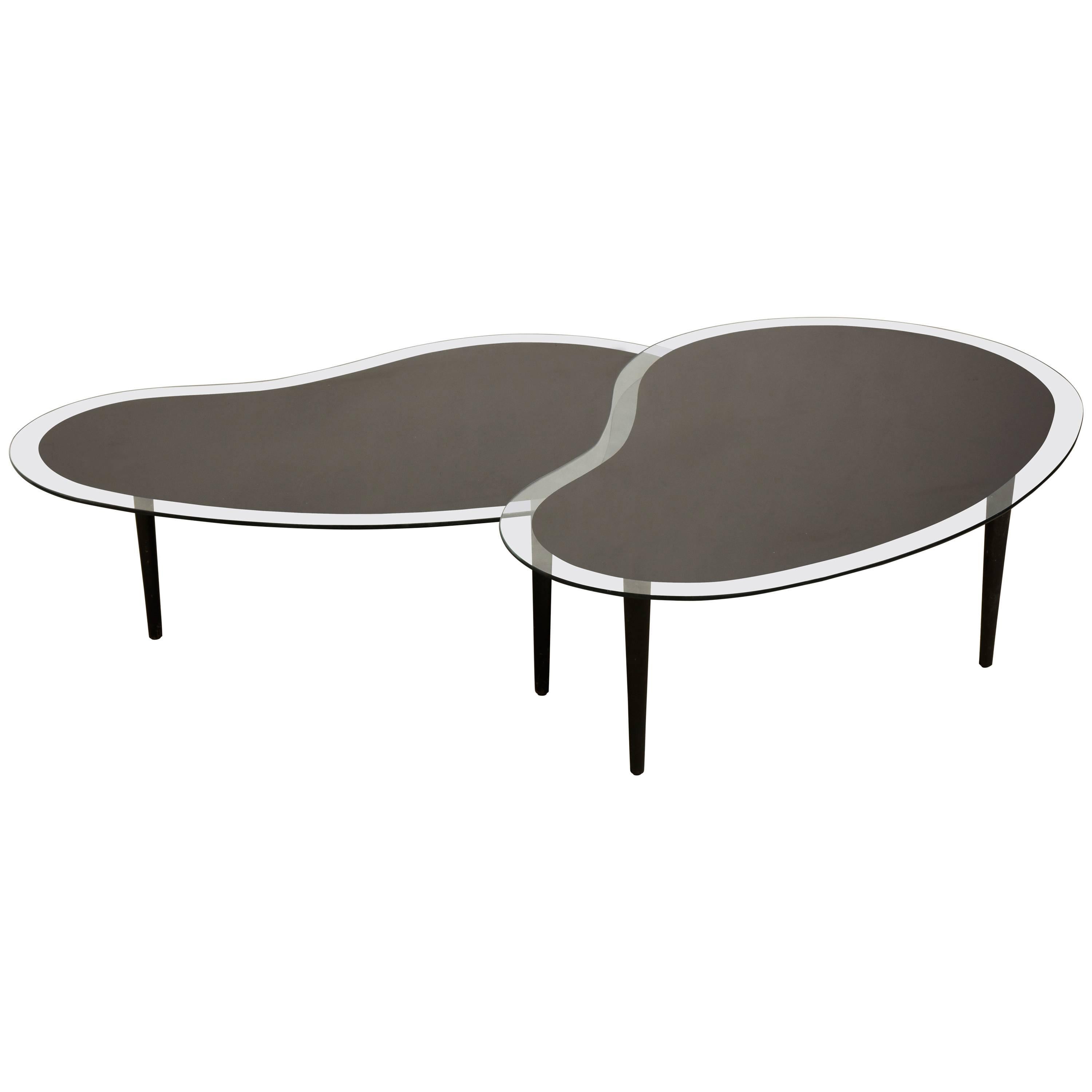 Nesting Kidney, Boomerang Glass Top Coffee Tables, 1960s