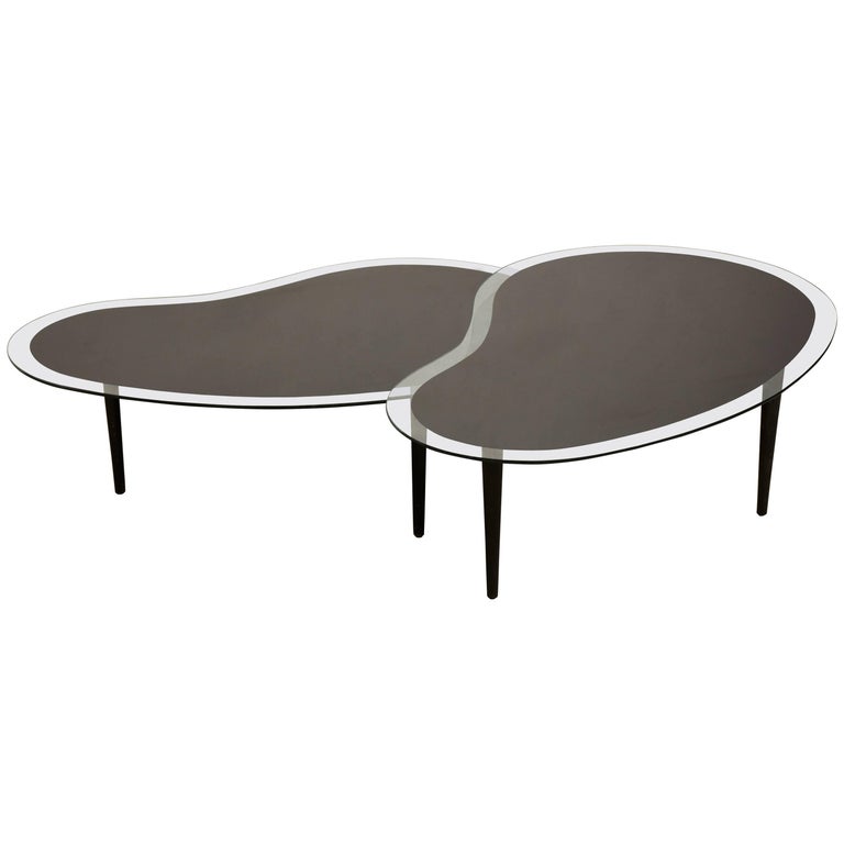 Nesting Kidney, Boomerang Glass Top Coffee Tables, 1960s at 1stDibs