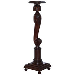 Stunning Regency Mahogany Carved Torchere Display Stand Bust Plant Taxidermy