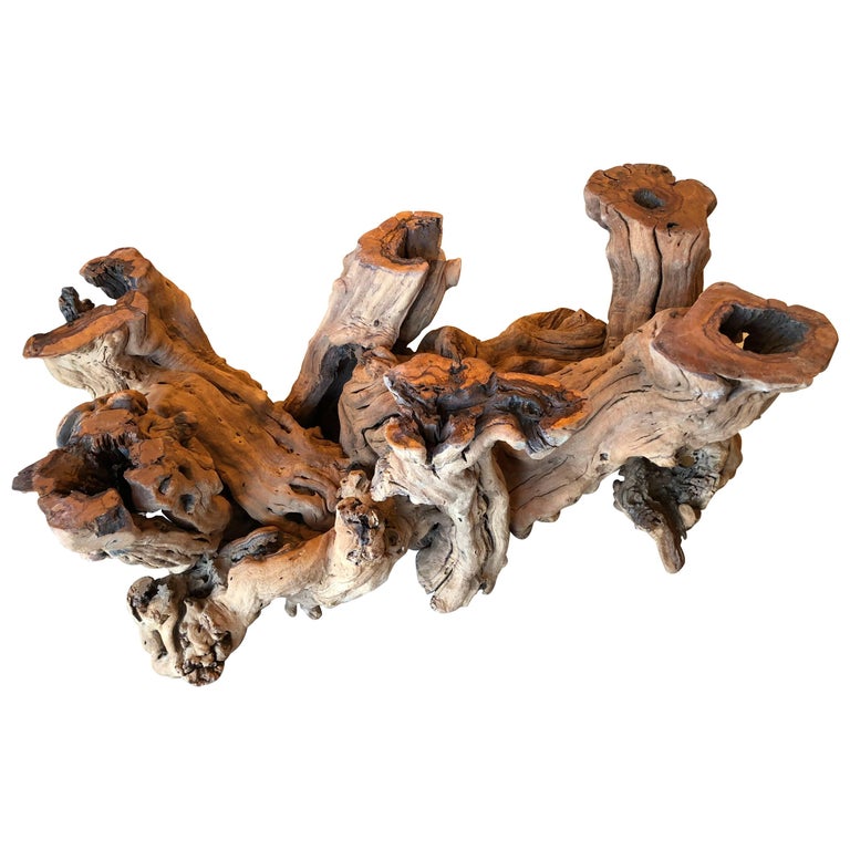 Driftwood Cypress Wood Coffee Cocktail Table Palm Beach at 1stdibs