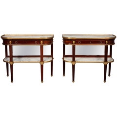 19th Century Pair of Louis XVI Style Dessert Consoles by Maison Krieger, Paris