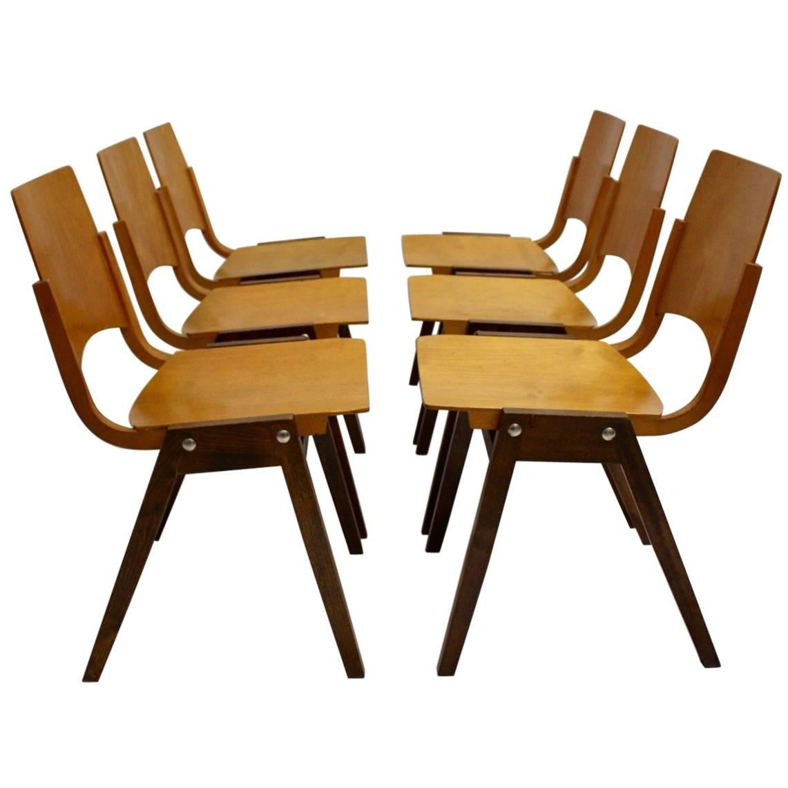 Mid Century Modern Vintage Chairs P7  by Roland Rainer Austria, 1952 Set of Six