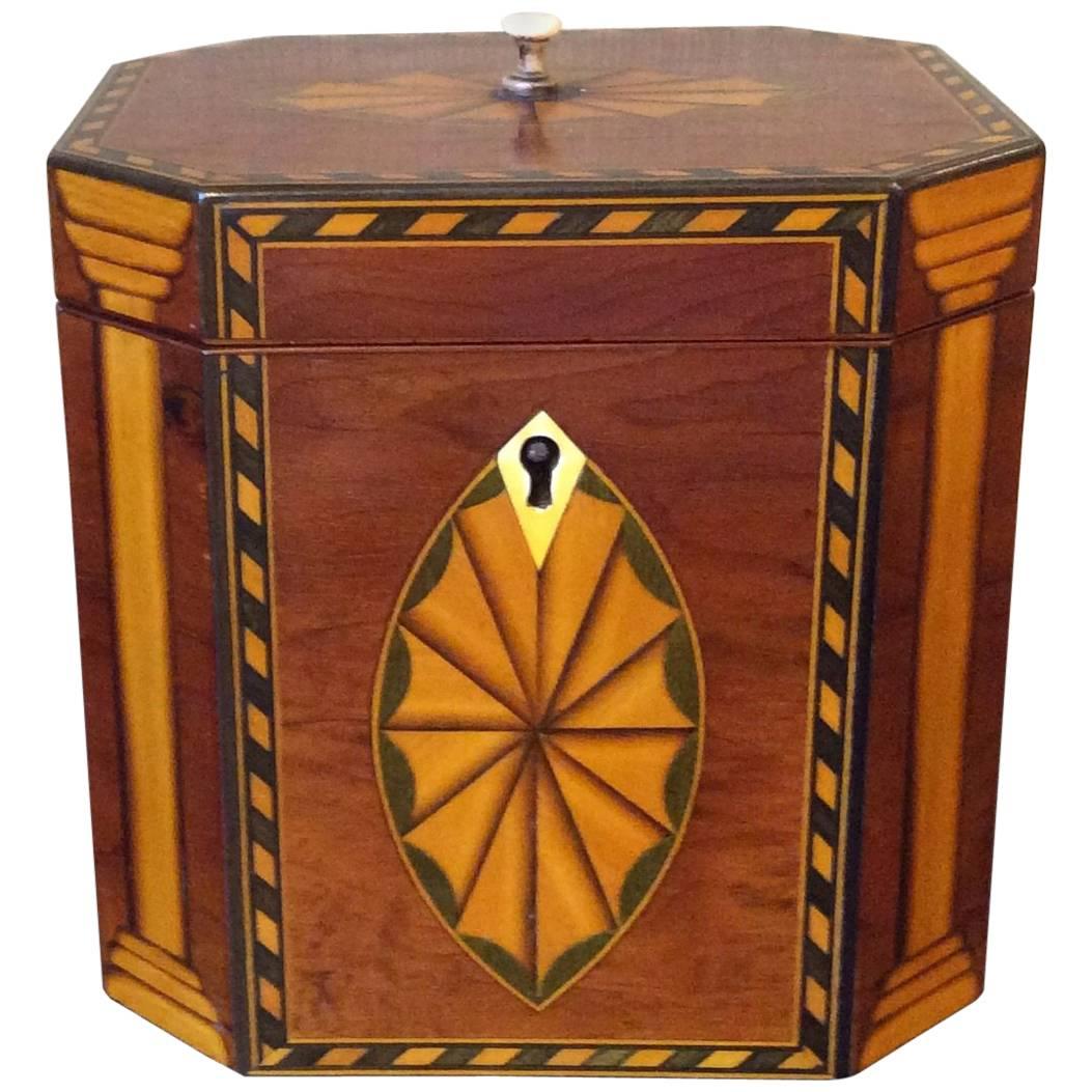 Single Georgian Style Tea Caddy