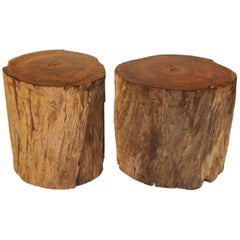 Oak Log Section with Marine Varnish Top