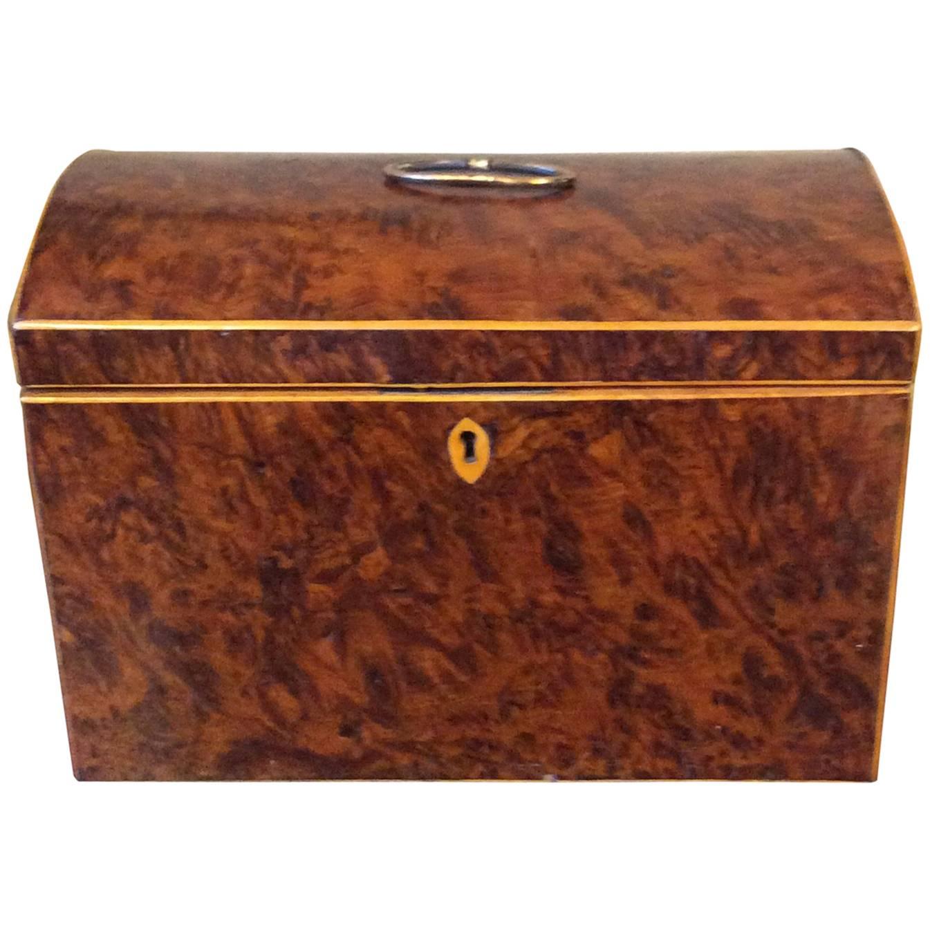 English Burl Yew Wood Tea Caddy with Dome Top For Sale